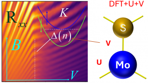 Graphical abstract