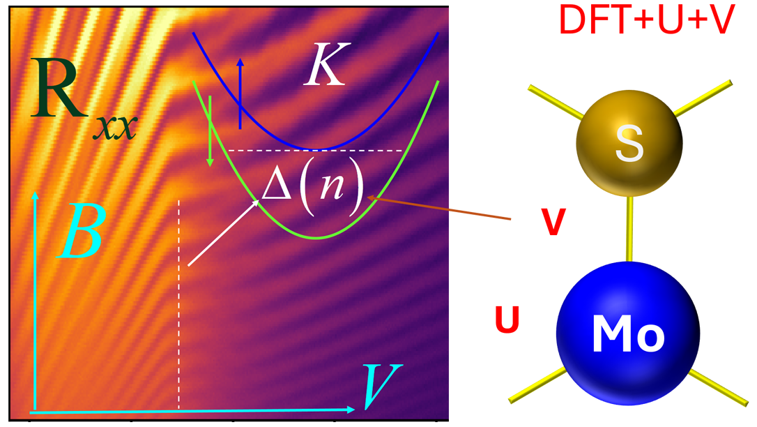 Graphical abstract